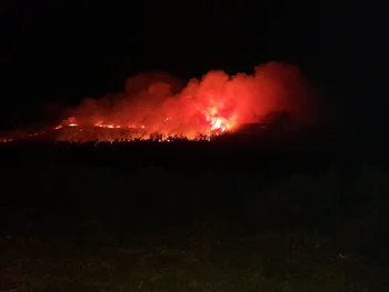 El incendio en el Cerro del Toro quemó casi 300 hectáreas