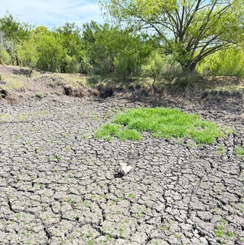 Sequía en Canelones (Archivo)