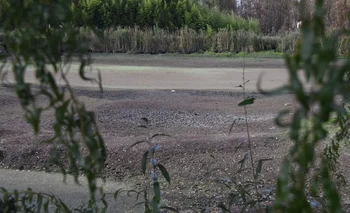 Tajamares casi secos en la zona granjera.