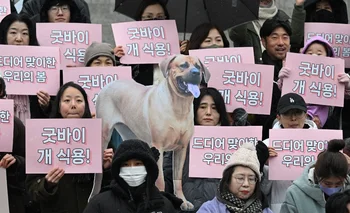 Comer perro se volvió tabú entre los coreanos jóvenes y urbanos, y crece la presión de defensores de los derechos de los animales por prohibirlo.