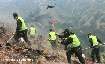 Tanto Colombia como Brasil comenzaron el año afectados por grandes incendios de bosques.