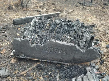 Colmena destruida en un incendio de campo.