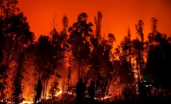 Rige riesgo "muy alto" de incendios forestales en casi todo el país.