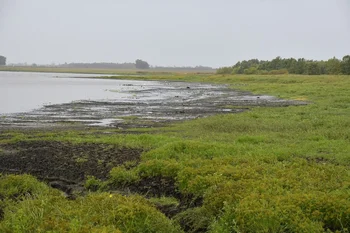La Laguna del Cisne abastece a unas 100 mil personas en verano