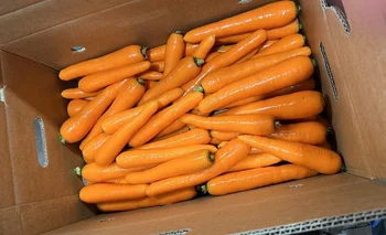 Zanahorias importadas.
