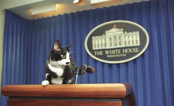 Socks en la sala de prensa de la Casa Blanca