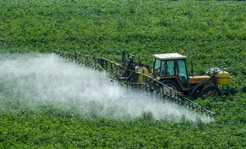 Los pesticidas protegen los cultivos al destruir organismos considerados nocivos para las plantas, pero tienen efectos nocivos en el medio ambiente y la salud
