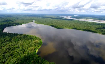 El 37% de las empresas que más influyen sobre la deforestación no tienen "ningún compromiso público" para luchar contra ese proceso, que afecta entre otros a la Amazonía.
