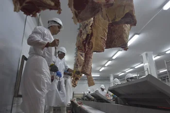 Las exportaciones de carnes siguen en una etapa de mucho dinamismo.