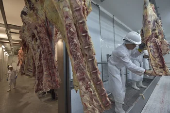Se acerca el cierre de un año de intensa actividad en la agroindustria de la carne.