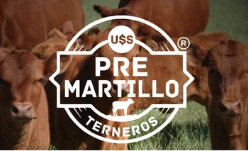 Pantalla Uruguay ofrece la herramienta de Pre-Martillo junto al banco Itaú