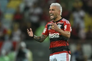 De Arrascaeta puede tener un nuevo compañero uruguayo en Flamengo