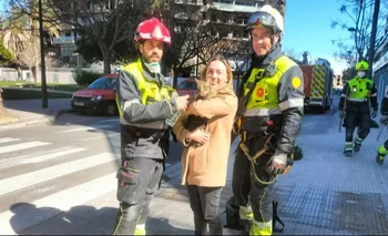 Un gato fue rescatado tras ocho días del incendio en un edificio en Valencia.
