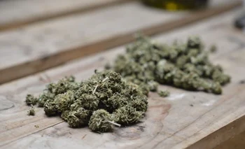 La Justicia absolvió a un hombre que tenía más de un kilo de marihuana en su casa