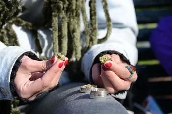 Hay 45.550 personas registradas para acceder al cannabis de uso recreativo en farmacias, según datos del Ircca.