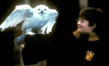 ¿Qué se sabe de la serie de Harry Potter?