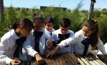 Niños de la escuela de Baltasar Brum en la huerta