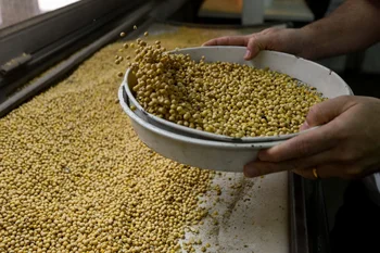 La soja se mueve al ritmo de un mercado climático.