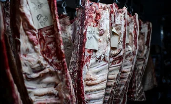 La carne argentina, un producto de alto valor en el mundo.