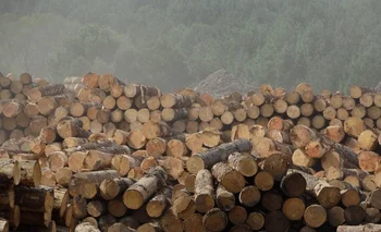 Depósito de madera de una industria dedicada a la transformación mecánica del producto.