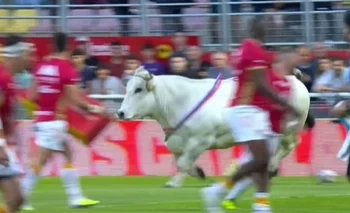 El toro en el rugby francés