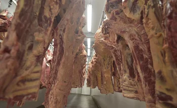 Argentina es el cuarto exportador mundial de carne bovina, con 819.000 toneladas en 2020
