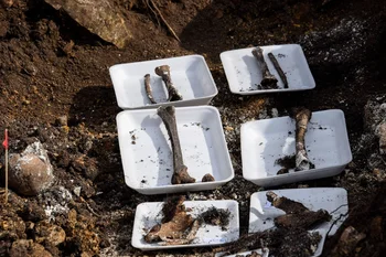 Restos óseos encontrados en el Batallón N° 14 el 5 de junio