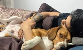  Matías Arezo descansa en su domicilio junto a su perro, a la espera de mejorar de su lesión para volver a jugar