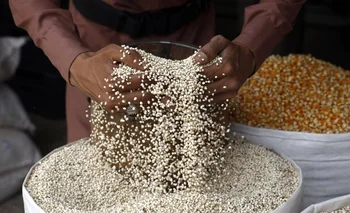 Pese al récord en la producción de trigo, millones pasan hambre en el mundo