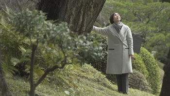 Tomoko Watanabe habló con la BBC en el jardín Shukkeien, junto al árbol de 300 años al que llama afectuosamente "Tía abuela Gingko".