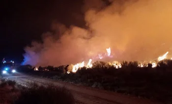 La ola de calor provocó incendios en varias zonas de España