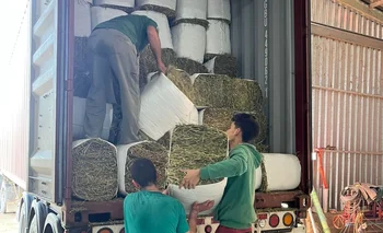 Se exportaron 734 fardos de entre 20 y 25 kilos de alfalfa cada uno.