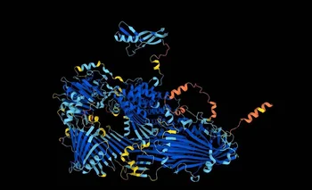 La estructura de la proteína vitelogenina, precursora de la yema de huevo, predicha por la herramienta AlphaFold