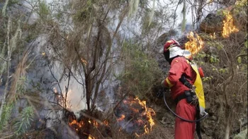 Un bombero combate las llamas en el incendio de Tenerife