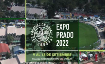 Expo Prado
