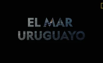 Adelanto del documental que prepara NatGeo sobre el mar uruguayo