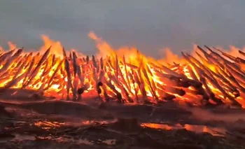 Incendio de una estiba de madera de la empresa UPM en Tacuarembó