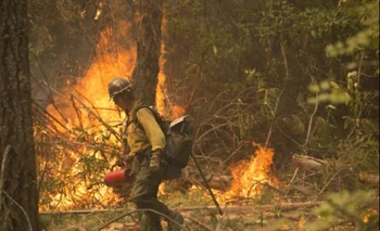 En Australia, la extrema sequía y la existencia de decenas de incendios forestales motivaron una alarma general en Nueva Gales del Sur.