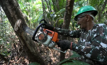 El núcleo de la ley es defendido por el poderoso sector de los agronegocios y pone en riesgo una de las barreras contra la deforestación en la Amazonía.