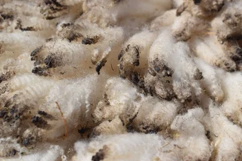 Lanas y productos de lana, uno de los subrubros más relevantes.