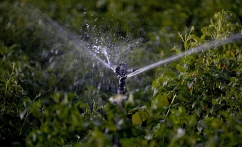 Según el Ministerio de Agricultura, Pesca y Alimentación, la agricultura constituye un 80 % de la demanda de agua en España.