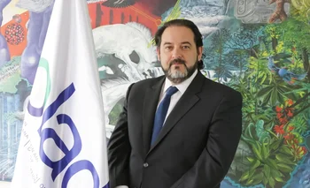 Andrés Rebolledo
