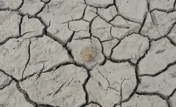 “La mitad de la población mundial afrontará una grave escasez de agua en los próximos ocho años"