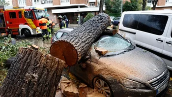 La borrasca Ciarán provocó inundaciones y caída de árboles.
