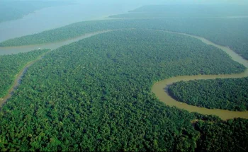 las políticas de Lula para frenar la deforestación en la Amazonía redujeron la tala indiscriminada de árboles permitida por el ex presidente Jair Bolsonaro