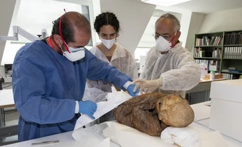 Un grupo interdisciplinario de científicos examinaron el 10 de mayo de 2023 los cuerpos momificados para establecer su antigüedad y señas culturales.