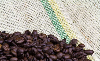 Producción de café, en Brasil.