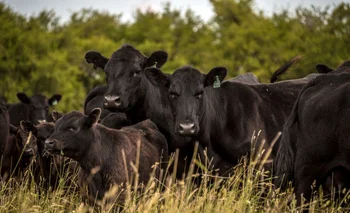 La ganadería está atravesando su momento de mayor presión desde 2020