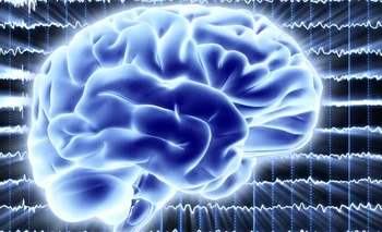  "Queríamos probar que el cerebro se puede comportar de una manera cuántica", señaló el científico español David López Pérez