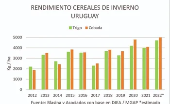 Rendimiento de cereales de invierno en Uruguay.